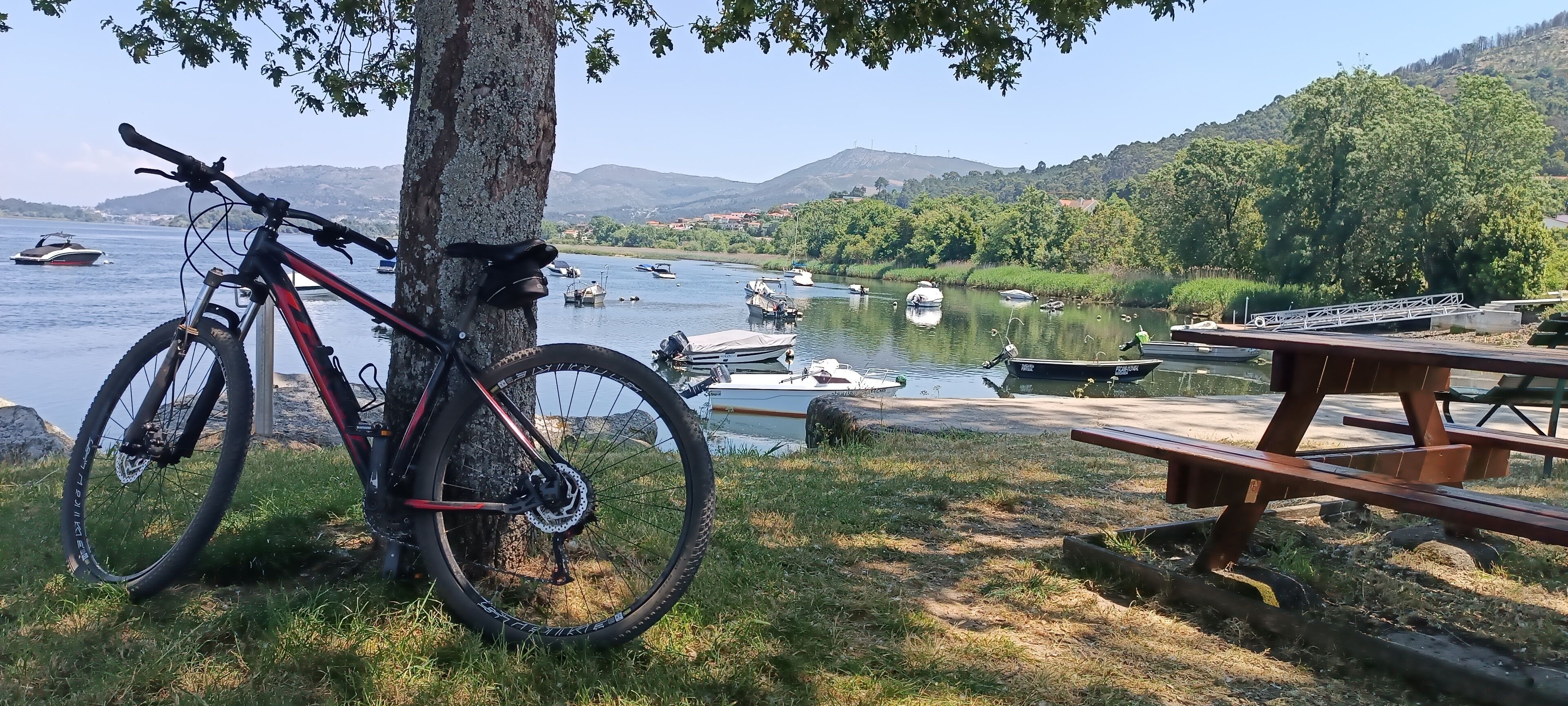 A bicycle parked by a tree, a picnic table, and boats on a lake with hills in the background.