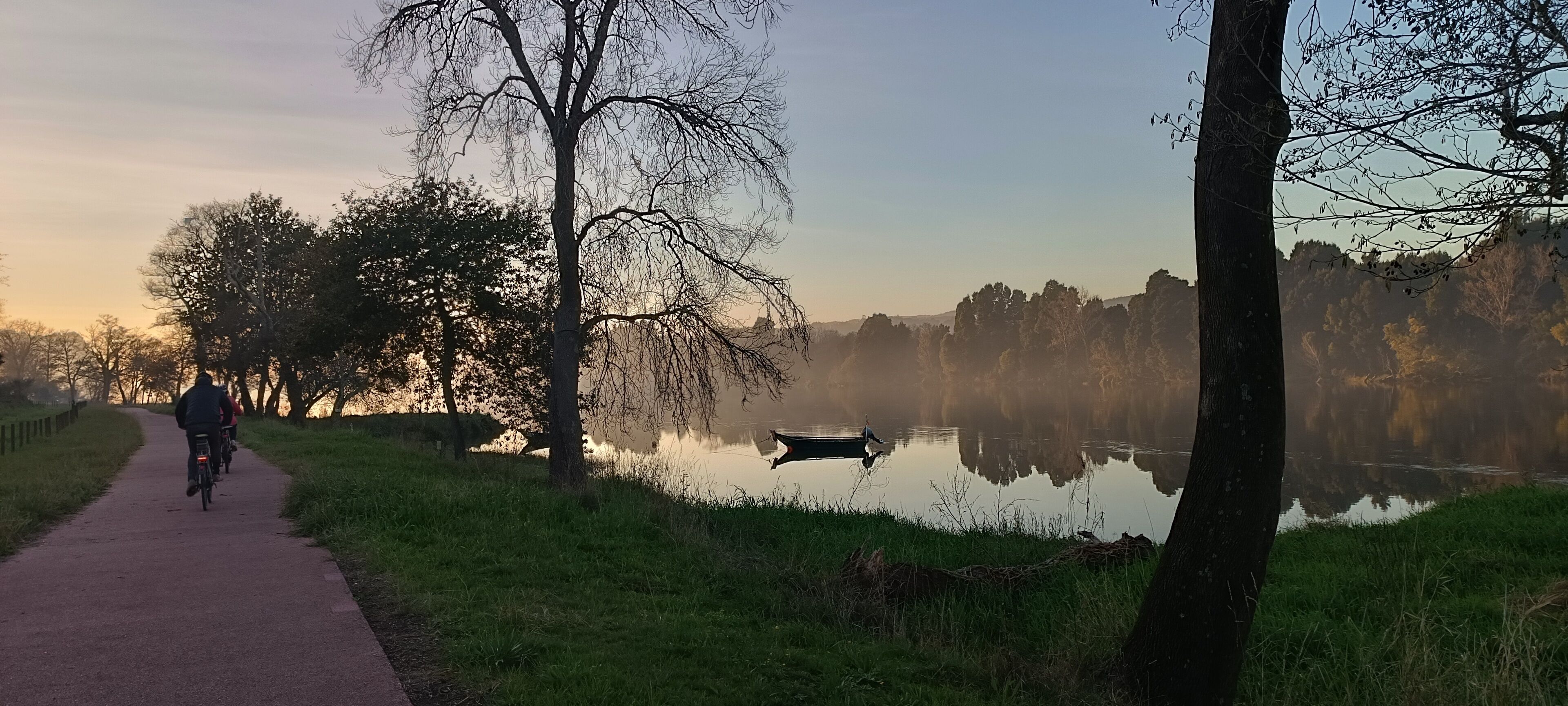 Un sendero a la orilla de un lago tranquilo, con árboles y un pequeño bote.