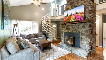 智能電視、壁爐、書籍、影像庫