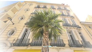 Un immeuble avec un palmier devant, des balcons dotés de garde-corps en métal et un ciel dégagé.