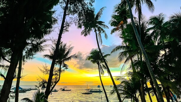 Escena de playa con palmeras y barcos en el agua al atardecer.
