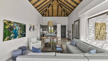 TV connectée, cheminée, livres, vidéothÚque