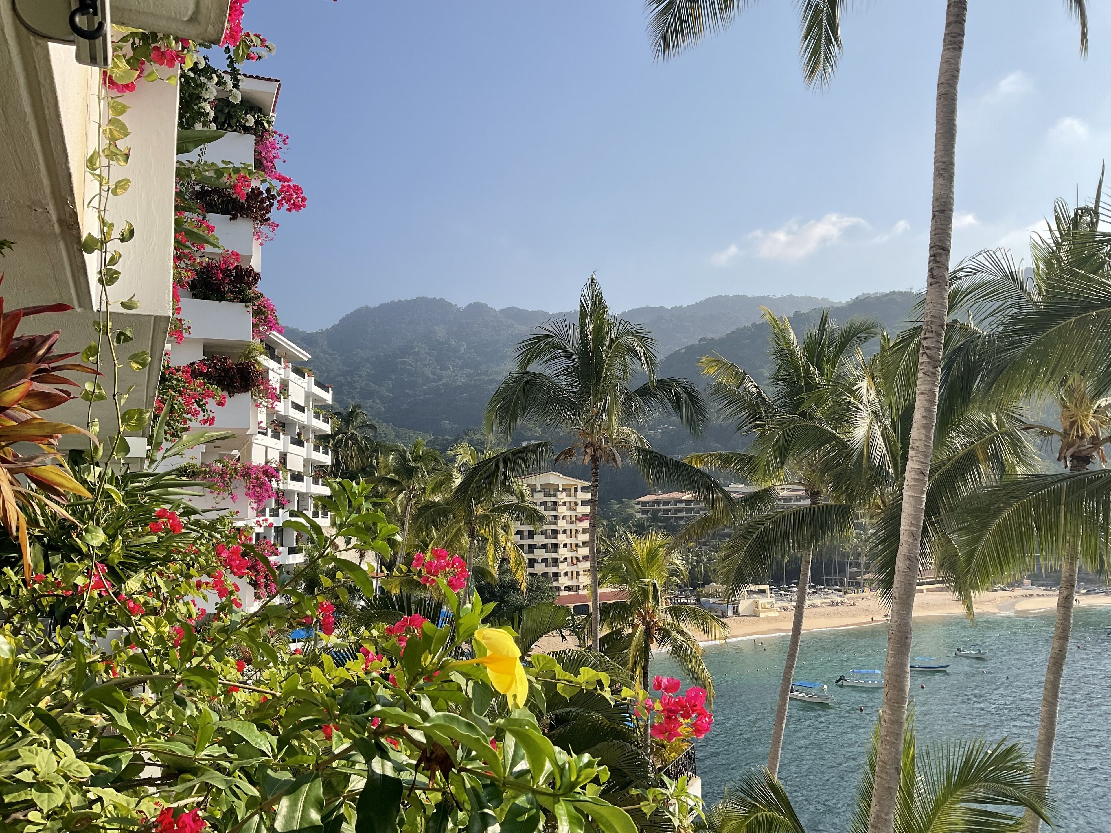 A beachfront hotel with balconies adorned with flowers, a beach, and palm trees.
