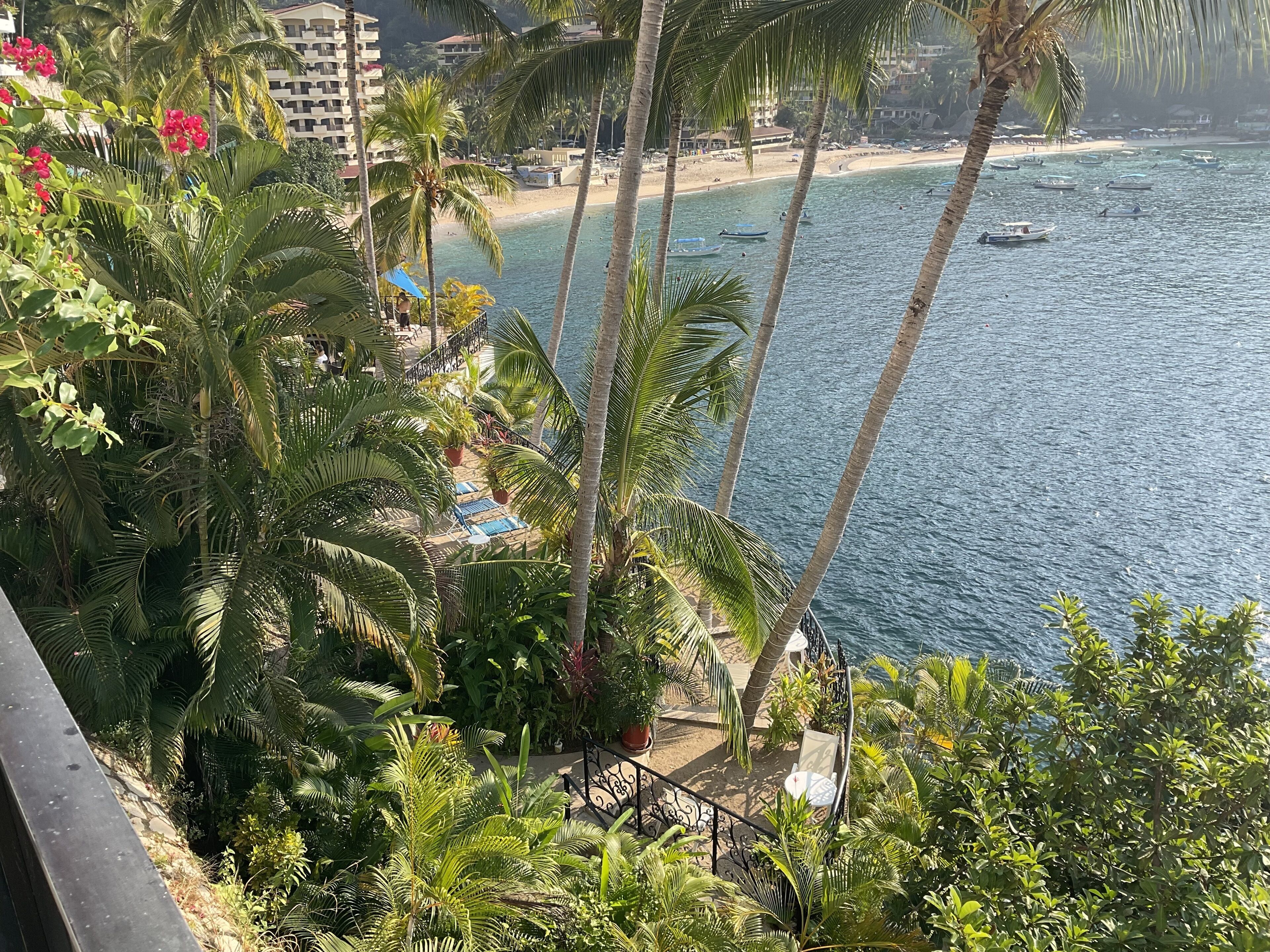 A balcony with lush greenery and a view of a beach with boats.
