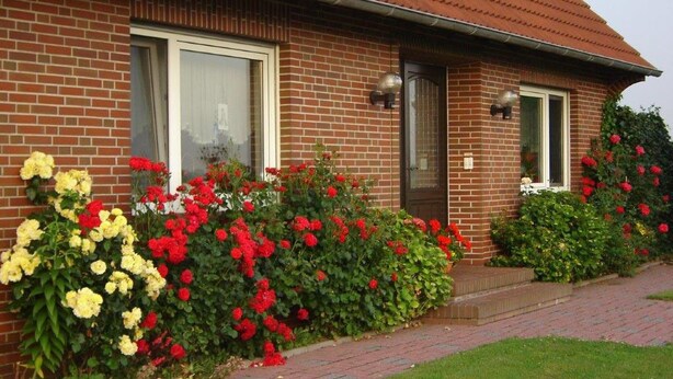 Une maison en briques avec un toit recouvert de tuiles rouges, deux fenêtres et un chemin en briques menant à l’entrée.