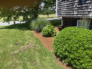 Áreas de la propiedad