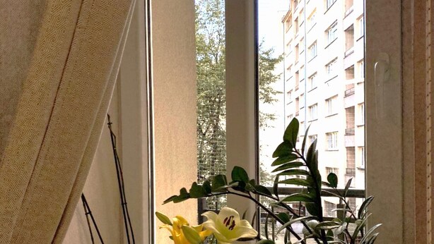Ikkuna, josta näkyy rakennus, ja ikkunalaudalla on ruukussa oleva kasvi.