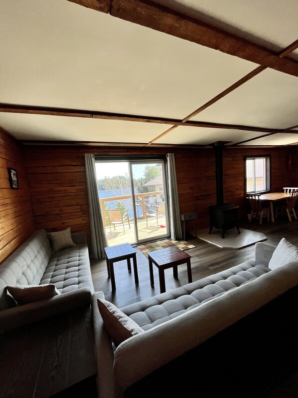 TV, video games, books