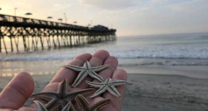 Driftwood Suite . Close to CCU. 1bd/1 ba Apartment