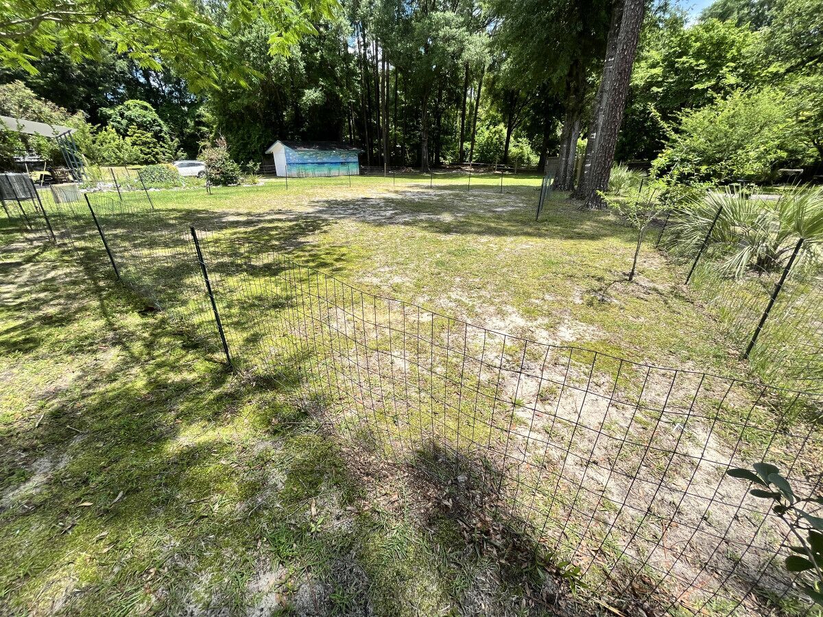 A fenced outdoor area with grass and trees.
