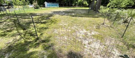 A fenced outdoor area with grass and trees.