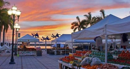 Hutchinson Island – 3 Min to Private Beach + BBQ