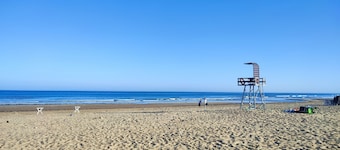 Lovely Apartment with 2 Bedrooms and Free Parking