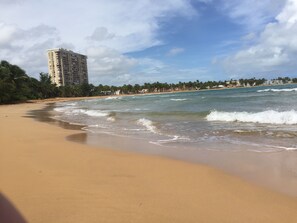 Una playa arenosa con olas suaves, un edificio alto al fondo y una hilera de palmeras a lo largo de la orilla.