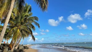 A beach with palm trees, rocky shoreline, and ocean waves.