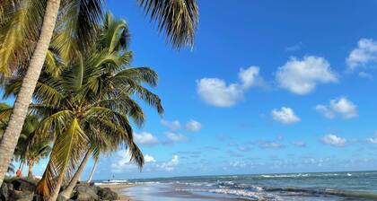 Amazing View of the Ocean and sounds of the waves.