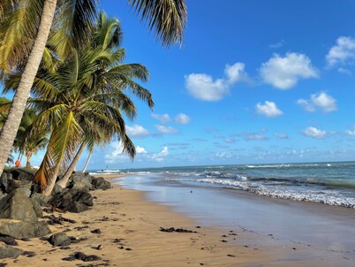 Amazing View of the Ocean and sounds of the waves.
