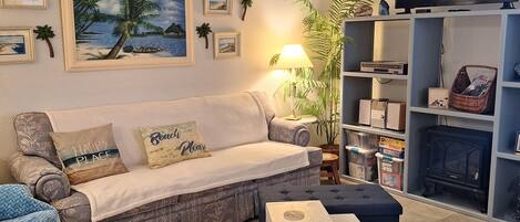 Smart TV, DVD player, books