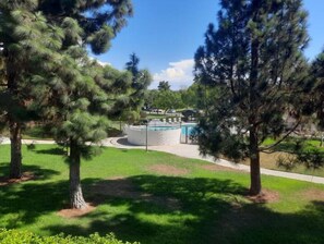 Surrounded by mature pine trees, this serene outdoor space features a lawn and a circular stone structure.