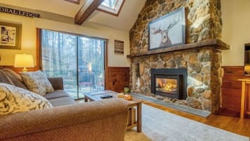 TV connectée, cheminée, jeux vidéo, livres