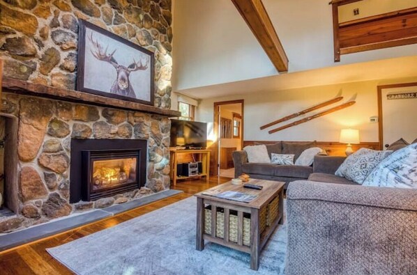 Smart TV, fireplace, video games, books