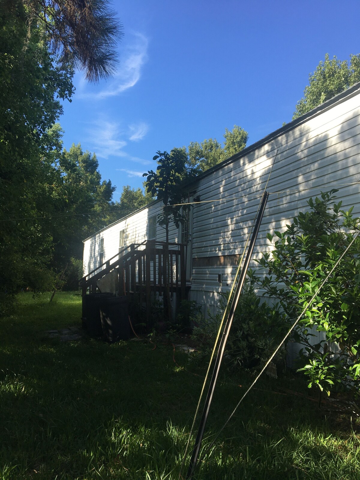 Imagen de perfil del propietario o de la propietaria