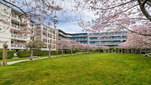 A courtyard with a grassy lawn, cherry blossom trees, and a multi-story building with balconies.