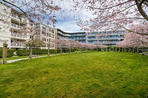 Deluxe Apartment | Courtyard view