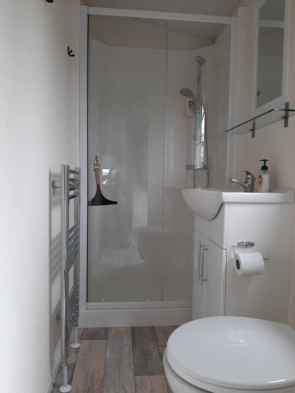 A modern bathroom with a glass shower enclosure, a white sink, and a toilet. - Chalet florence 3 (Serooskerke)
