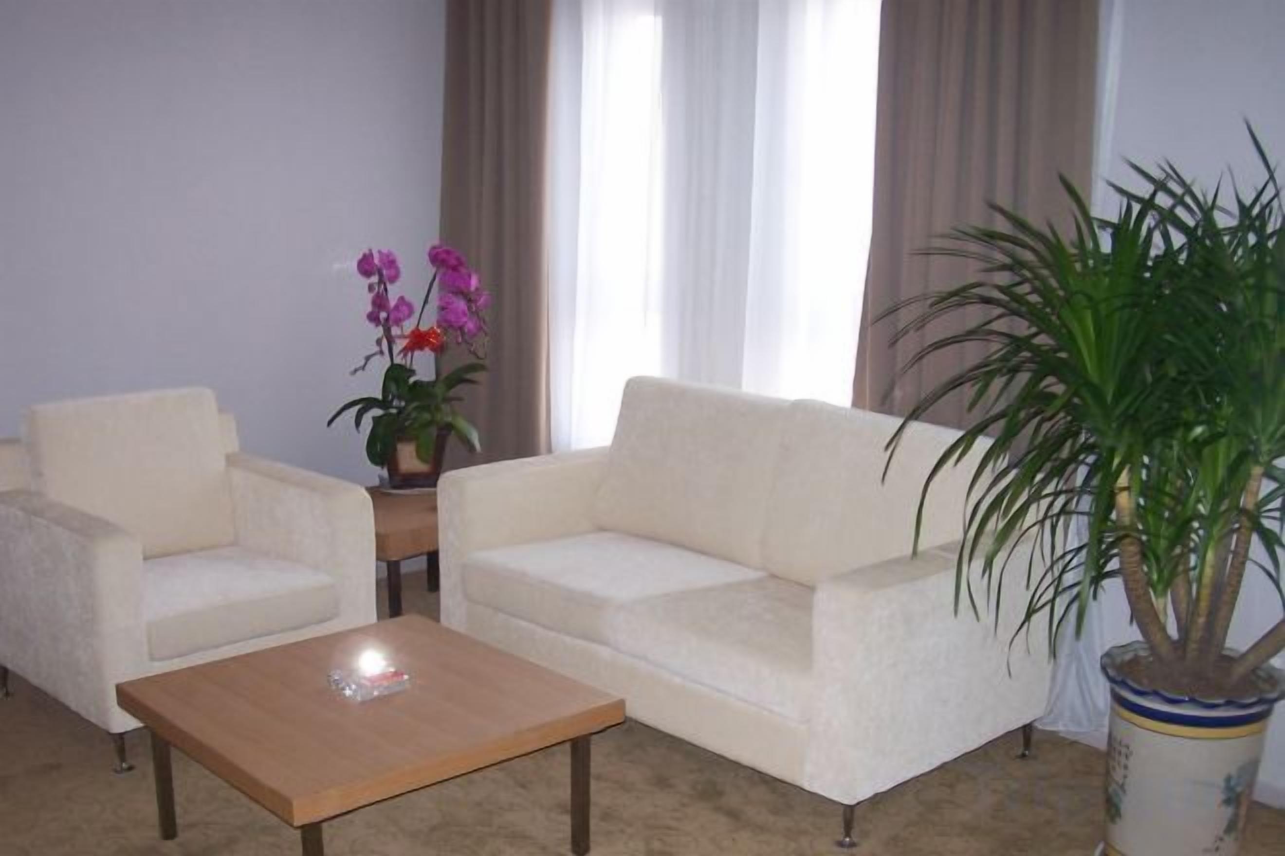 A living room with a sofa, two armchairs, a coffee table, and a potted plant.