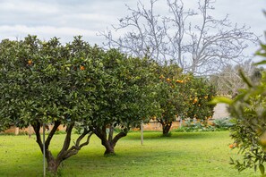 Áreas de la propiedad