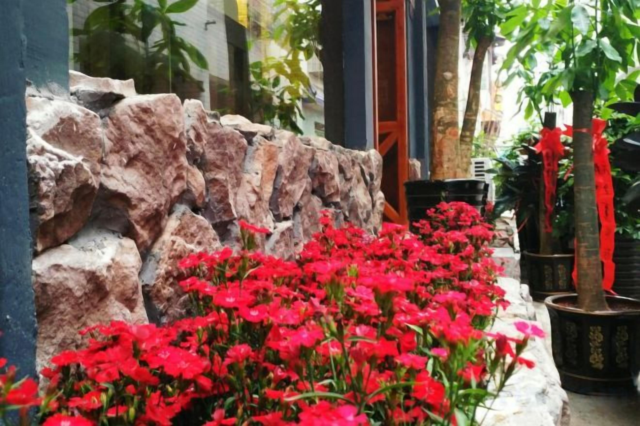 Un muro de piedra con flores rojas y plantas en macetas.