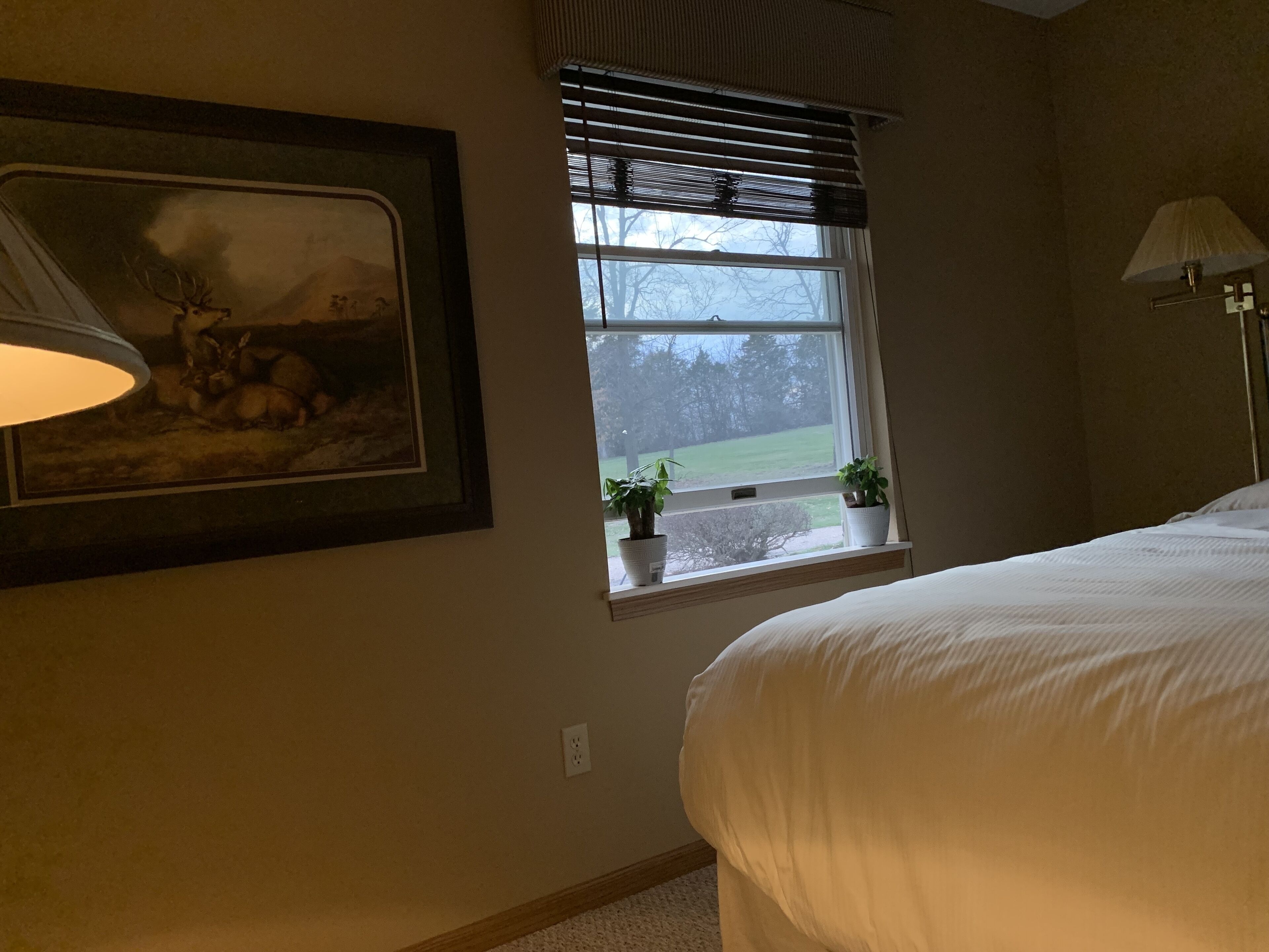 8 多间卧室、办公桌、熨斗/熨衣板、旅行婴儿床