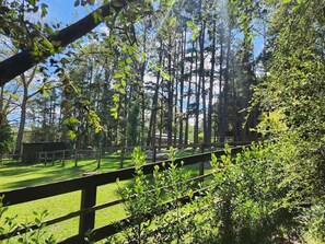 المنطقة المحيطة بالمنشأة