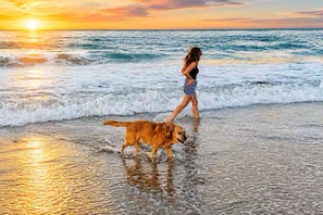 A person walking a dog on a beach with waves and a sunset in the background.
