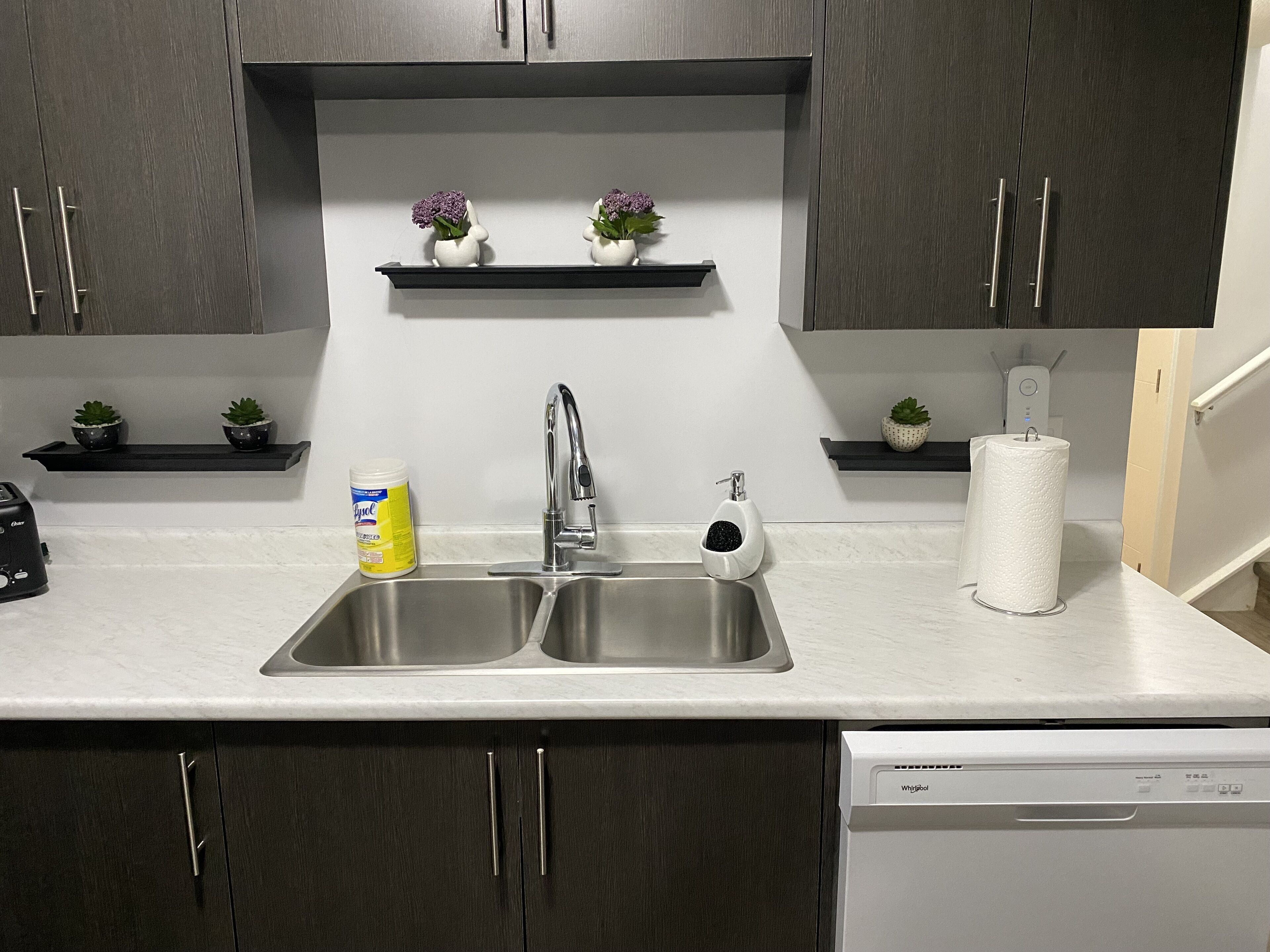 A kitchen with a double sink, a dish soap bottle, a paper towel dispenser, and a dishwasher.