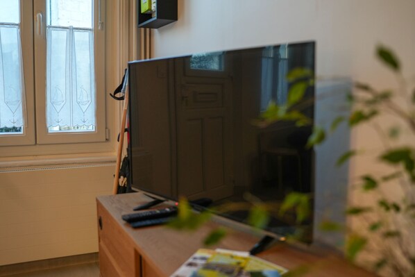Une pièce avec un téléviseur posé sur un meuble en bois, une fenêtre avec des rideaux et une plante au premier plan.