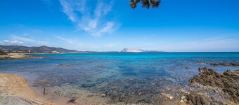 Pet friendly home in Orosei