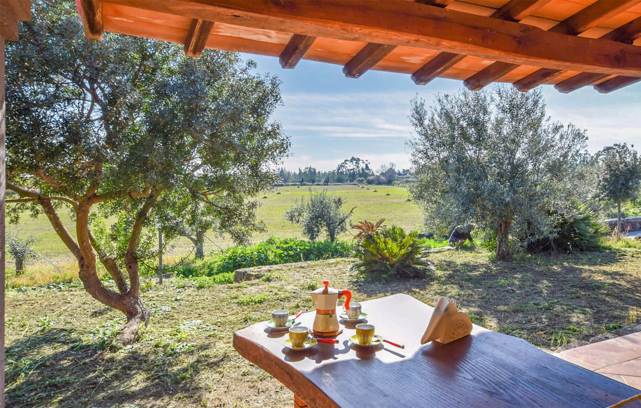 A wooden table with a coffee maker and cups, set outdoors with olive trees and a view of a field.