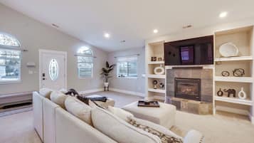 TV, fireplace, books