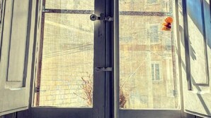 Een dubbele deur met zicht op een gebouw door de ruiten.
