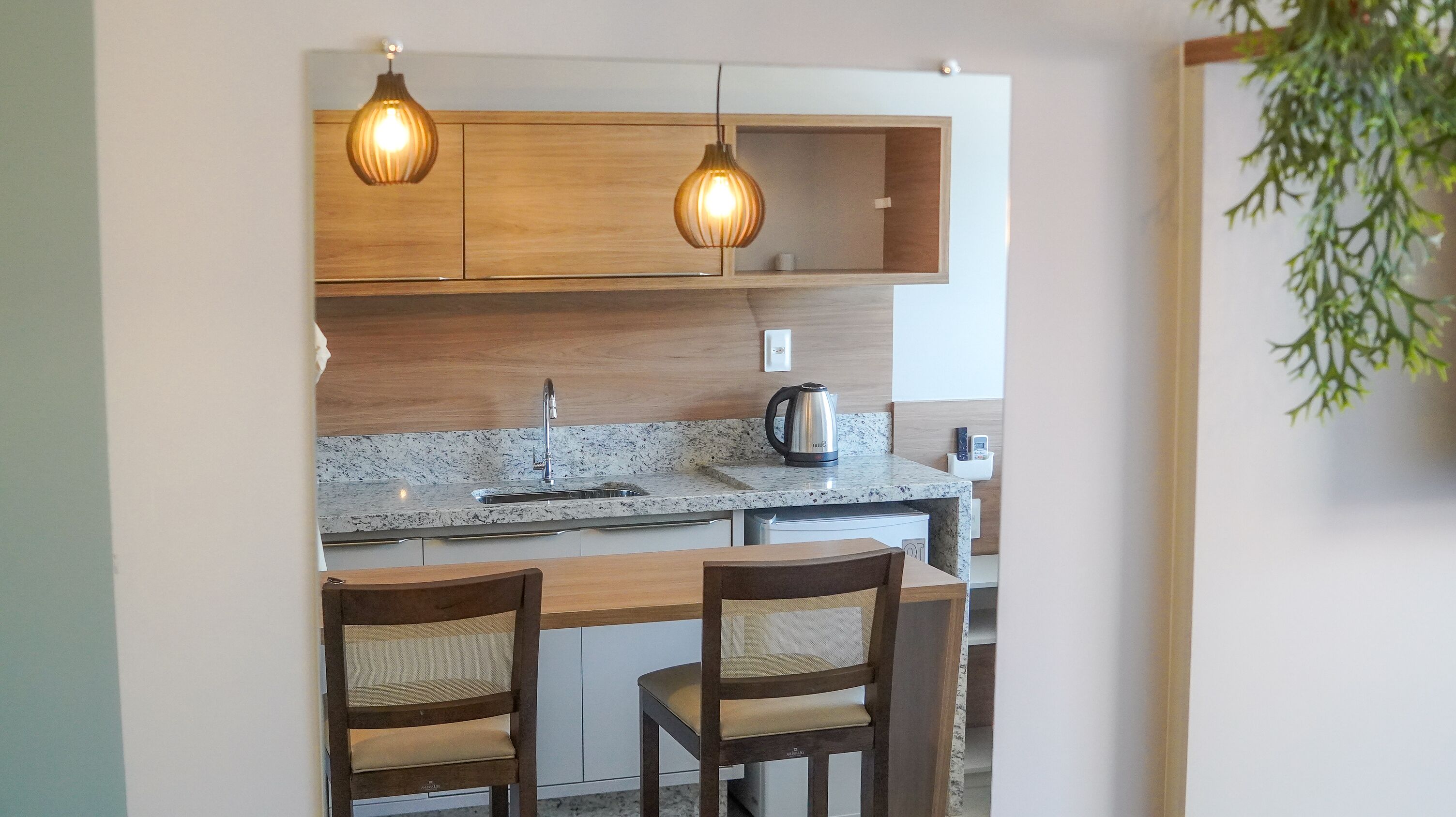 A compact kitchen with a granite countertop, two wooden cabinets, a stainless steel kettle, and a hanging plant.