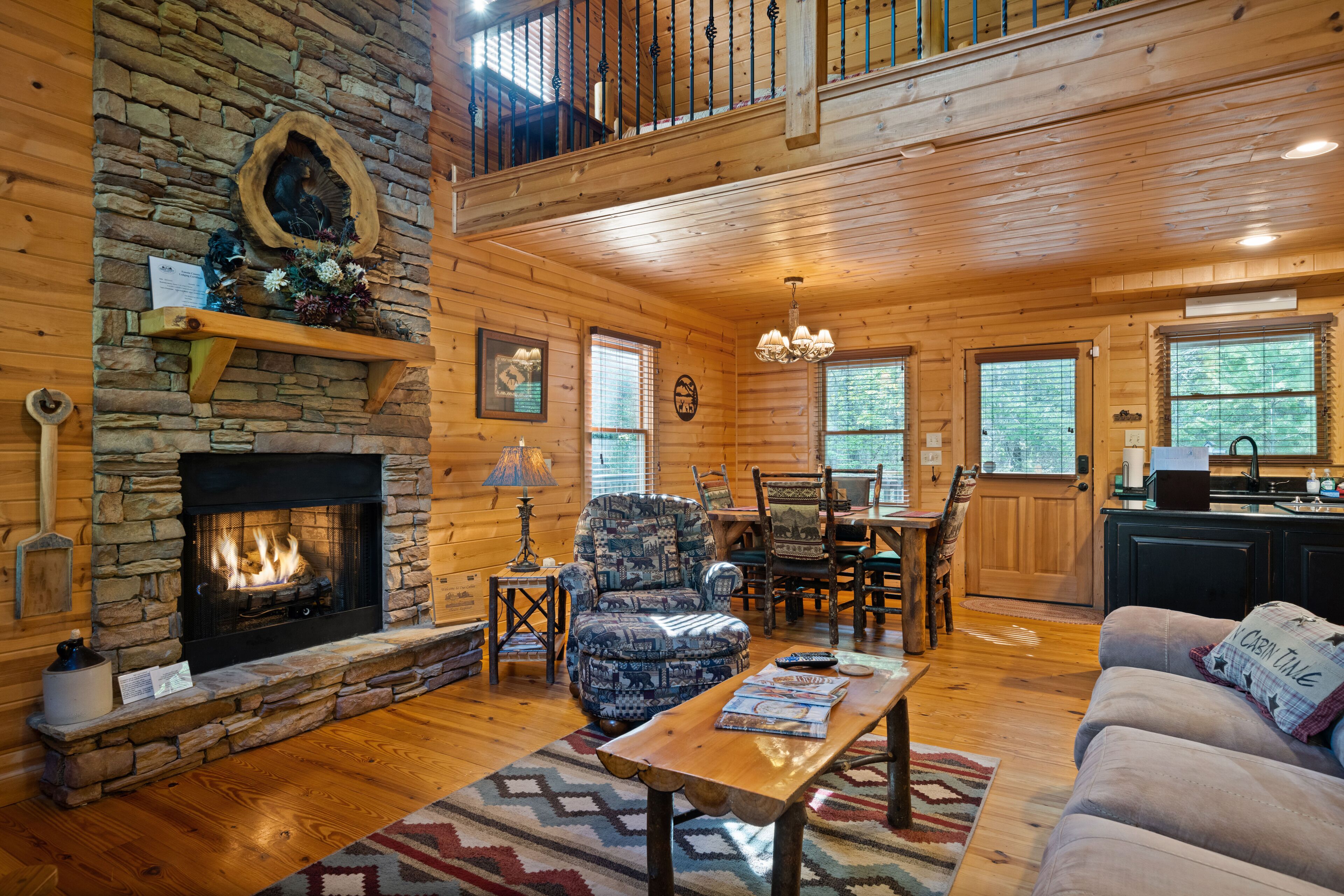 TV connectée, cheminée, lecteur de DVD, livres