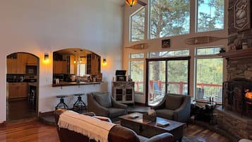 TV connectée, cheminée, jeux vidéo, lecteur de DVD