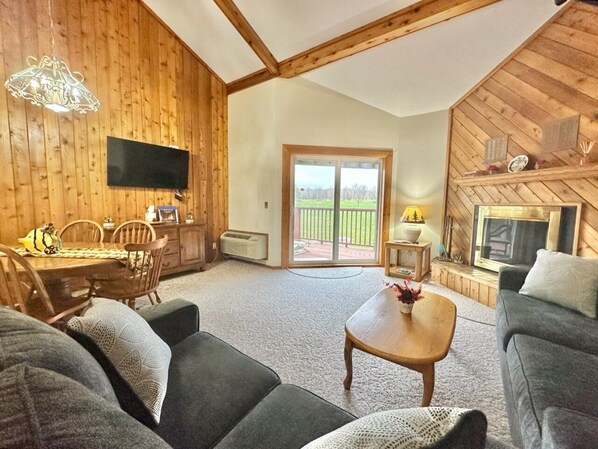 Smart TV, fireplace, books, music library