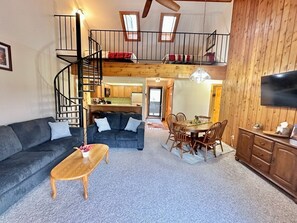 Smart TV, fireplace, books, music library