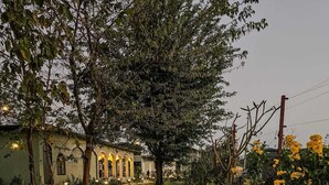 مدخل داخلي