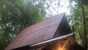 Une construction rustique en bois, dotée d’un toit de chaume, entourée d’une végétation luxuriante.