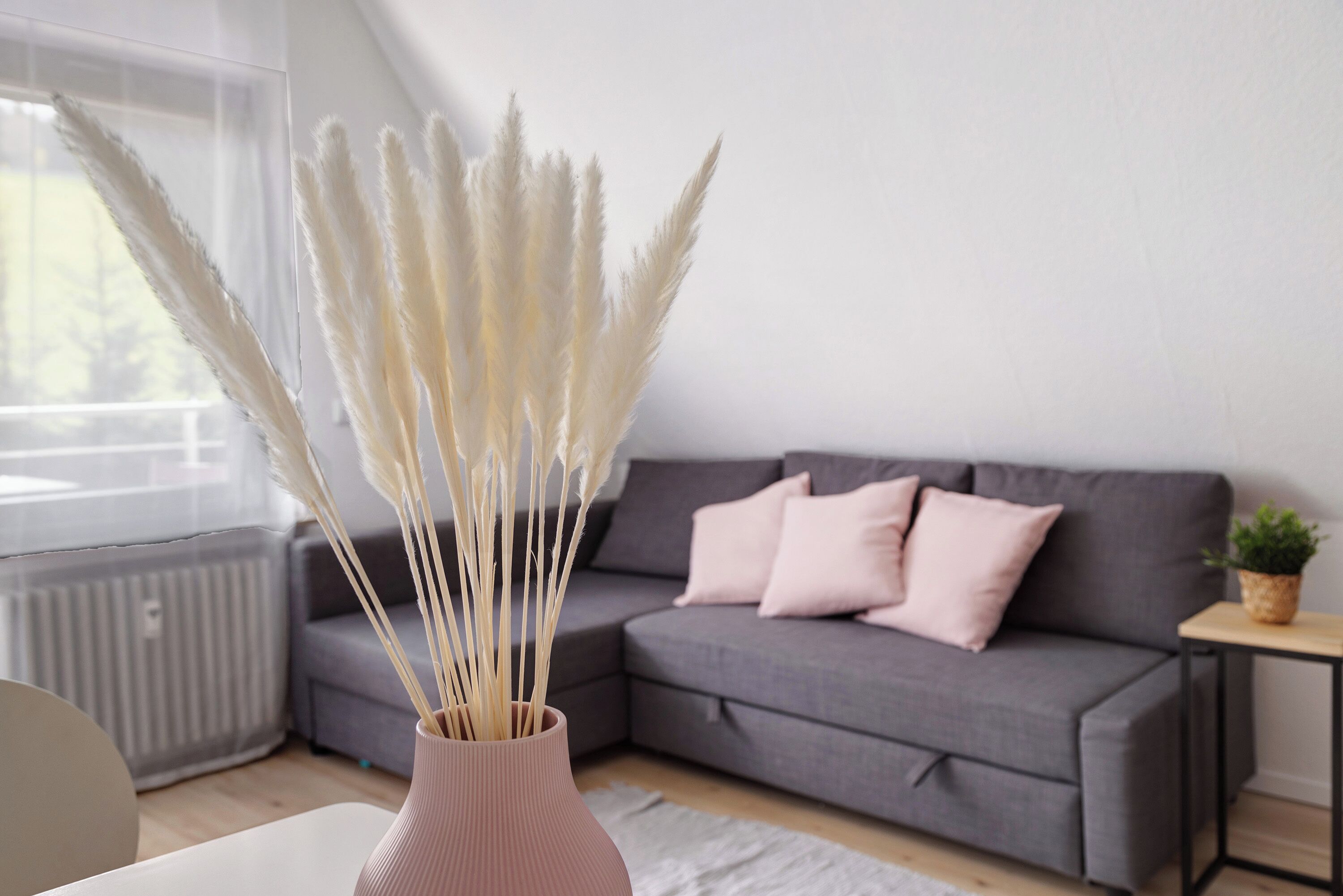 Télévision, table de tennis de table