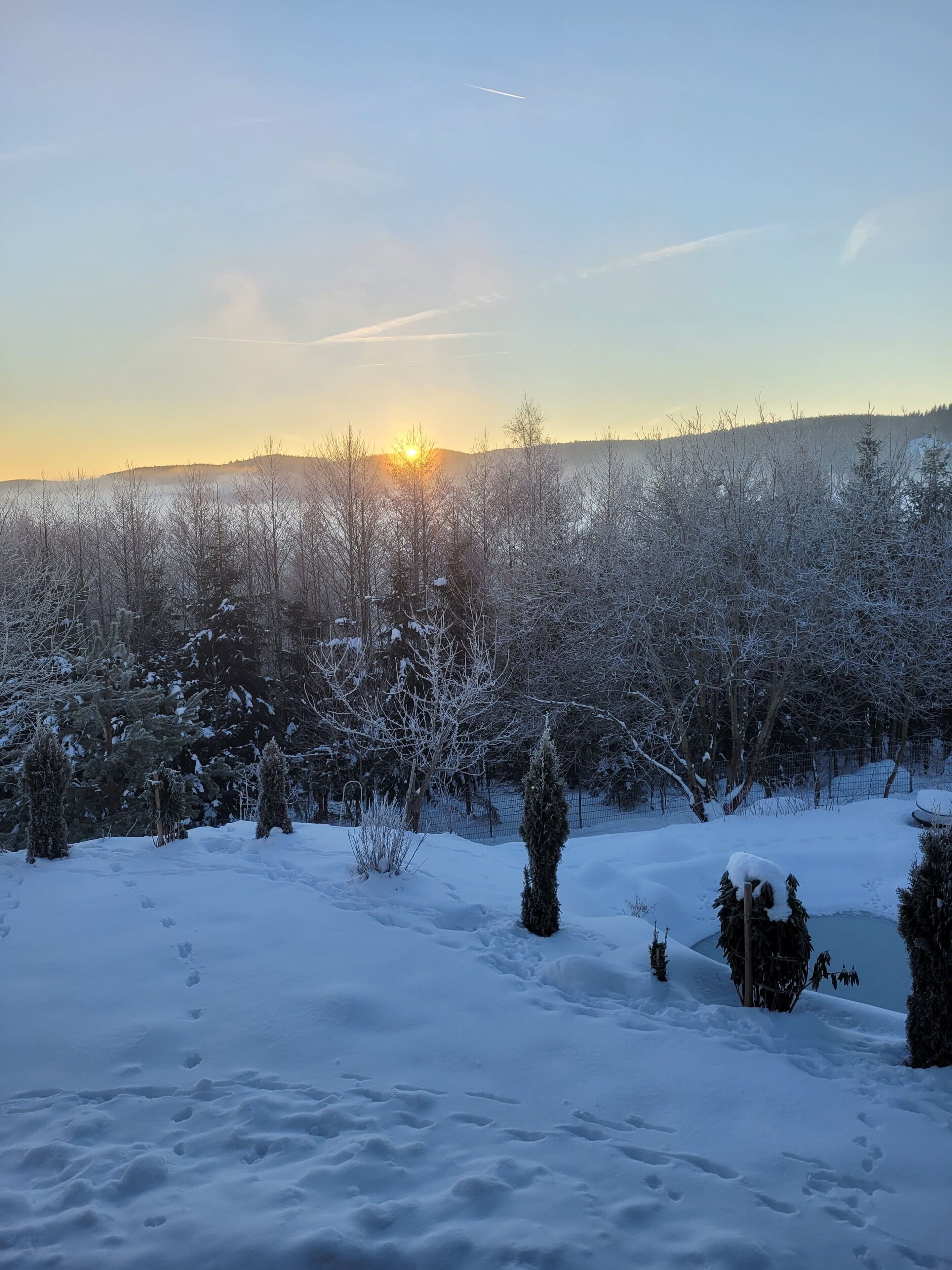 A snowy landscape with trees and a clear sky.